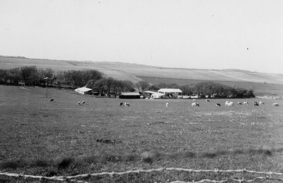 New Townsend Farm 1950's