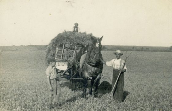 A full load of clover at Bockhill Farm. c1928