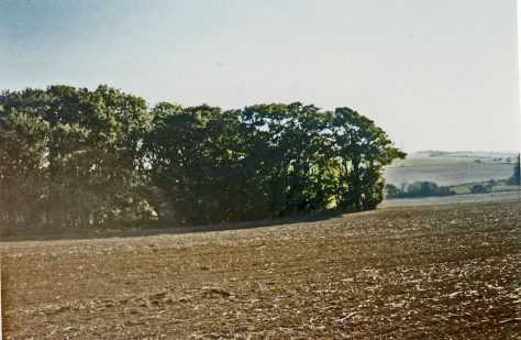 Hope Farm site, 15 October 2003