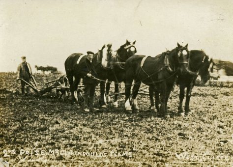 Mr Claringbould and his team at the Ploughing Match, Westcliffe. c1920