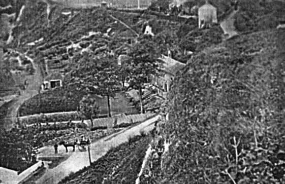 The Green Man at the bottom of Bay Hill with horse and cart.  c1900