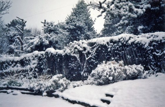 Snow scene in St Margaret's. 20 March 1985